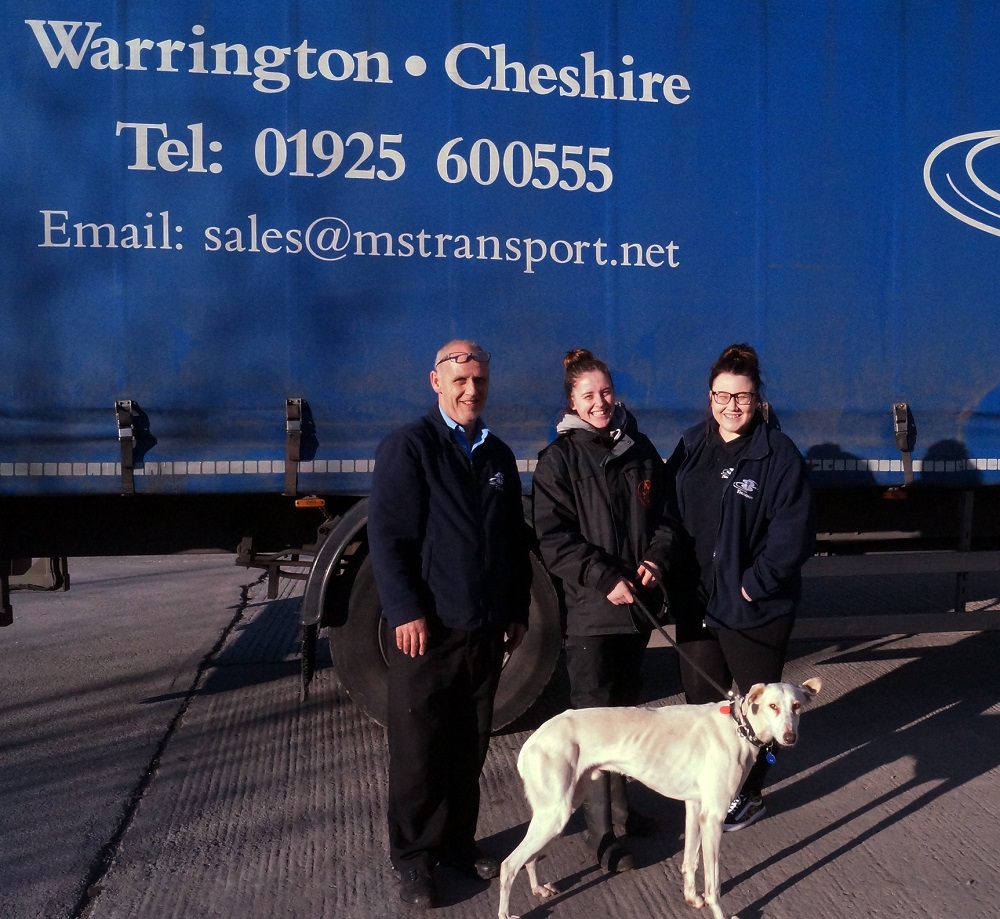 TPN Member M&S Transport rescues a stray lurcher during deliveries